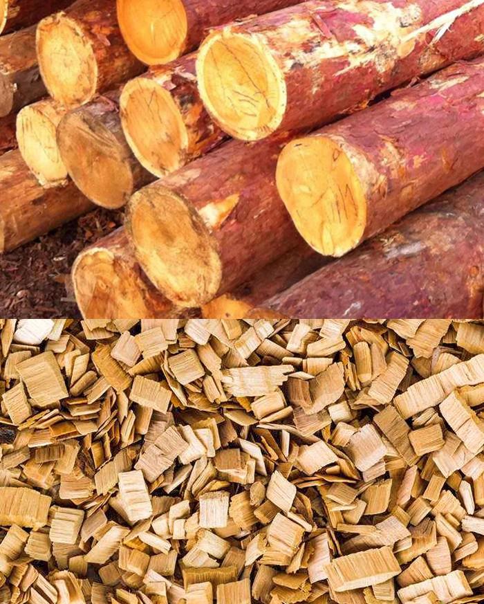 wood chips.jpg wood chips.jpg