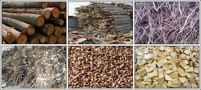 BIOMASS WASTE