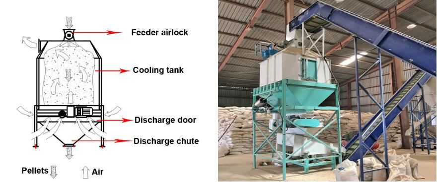 pellet mill 5
