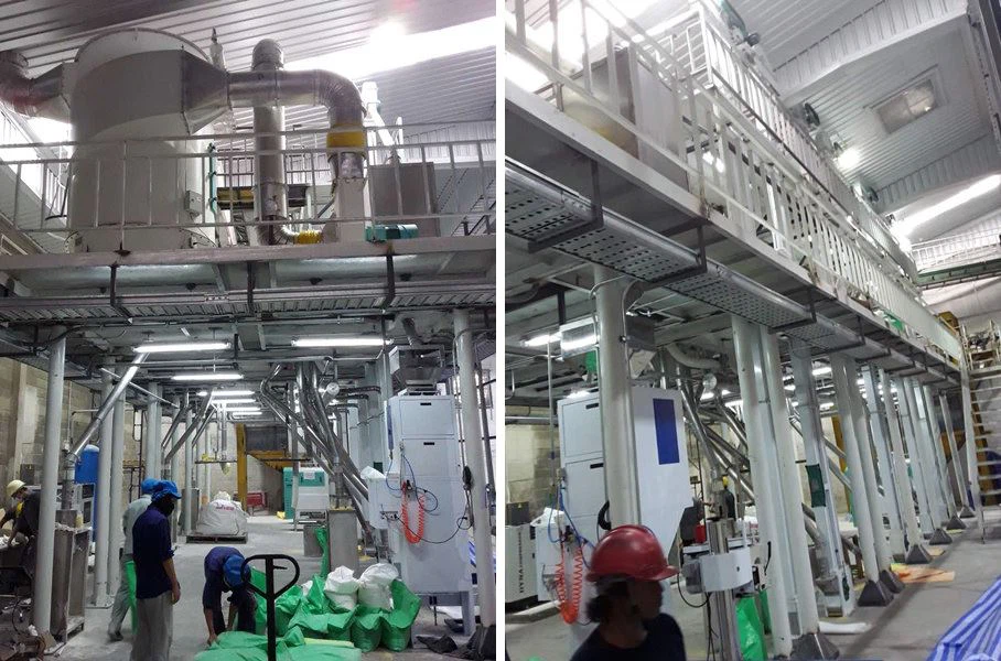 corn wheat mill production line 
